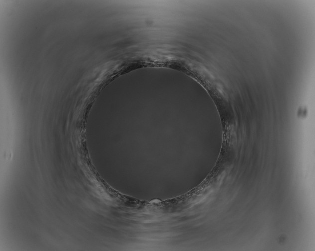 X0000101101009200807031745