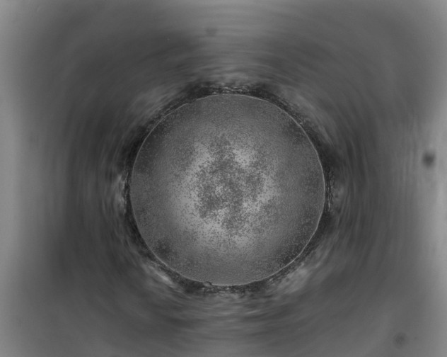 X0000101101010200807031745