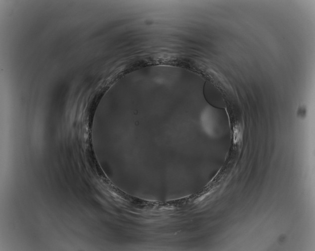 X0000101101011200807031745
