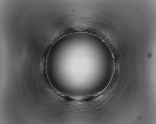 X0000101101012200807031745
