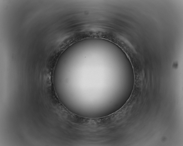 X0000101101013200807031745