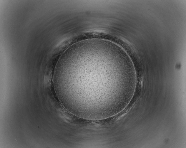 X0000101101014200807031745