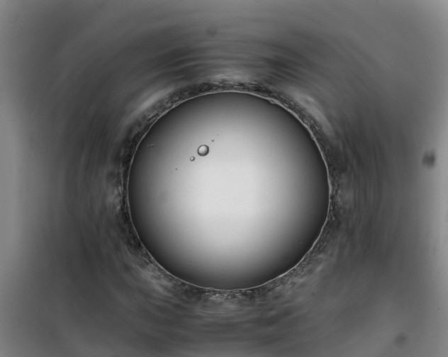 X0000101101015200807031745