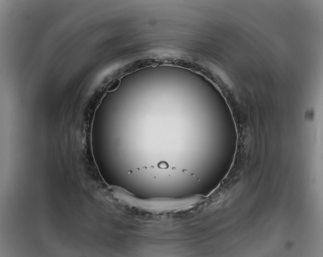 X0000101101016200807031745