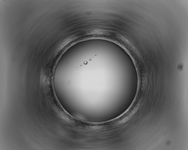 X0000101101017200807031745