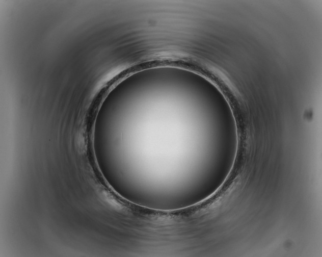 X0000101101018200807031745