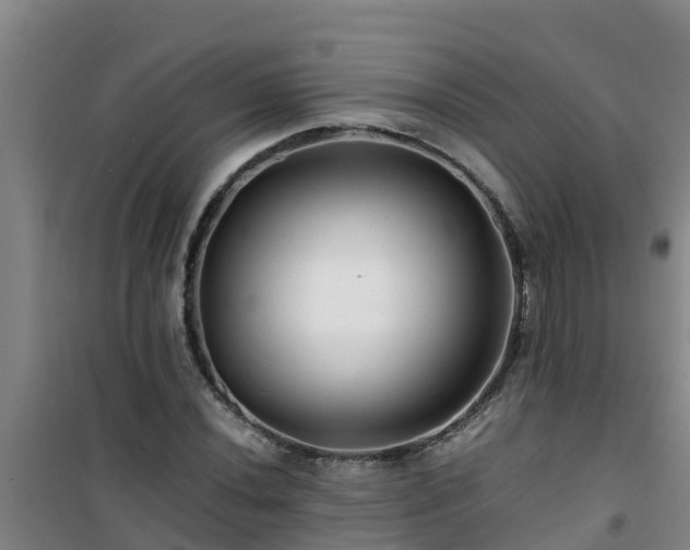 X0000101101020200807031745
