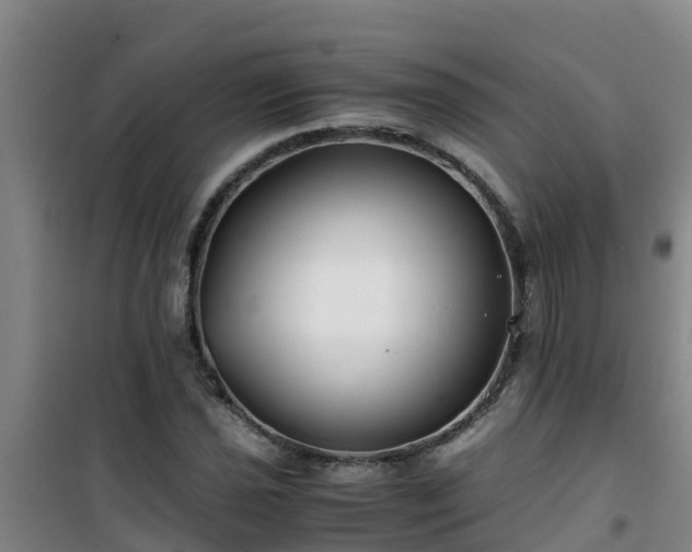 X0000101101021200807031745