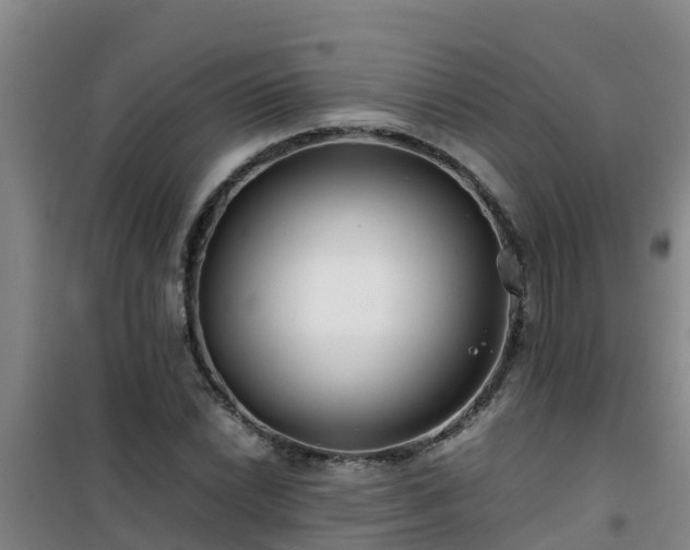 X0000101101022200807031745