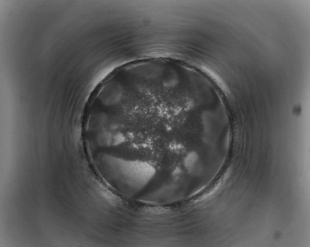 X0000101101023200807031745