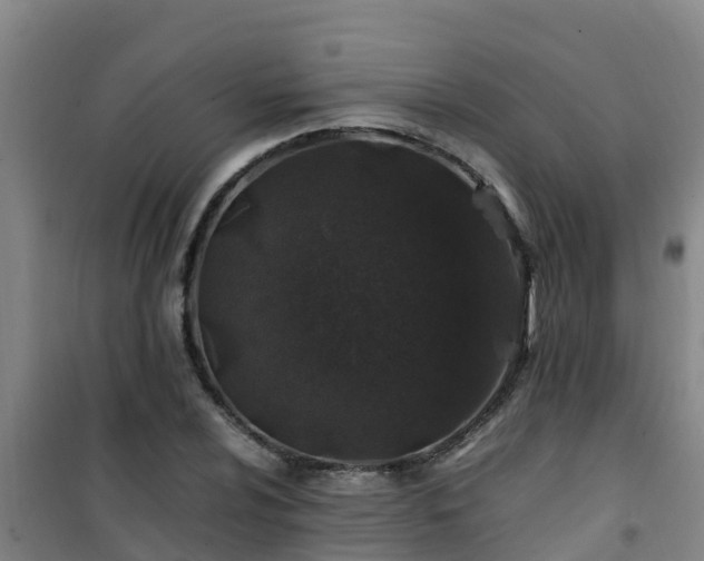 X0000101101024200807031745