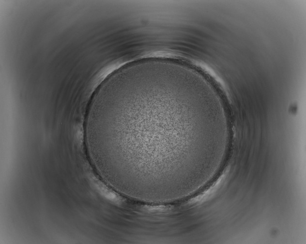 X0000101101025200807031745