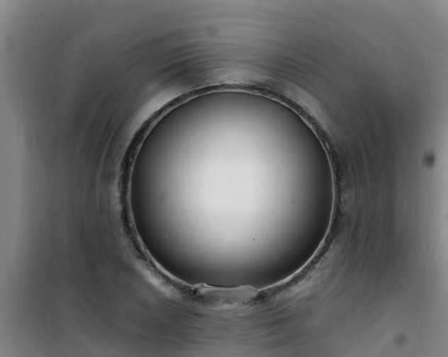 X0000101101026200807031745