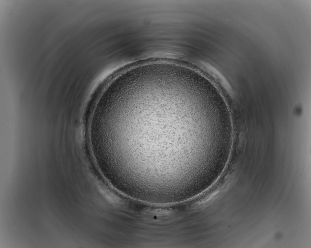 X0000101101027200807031745