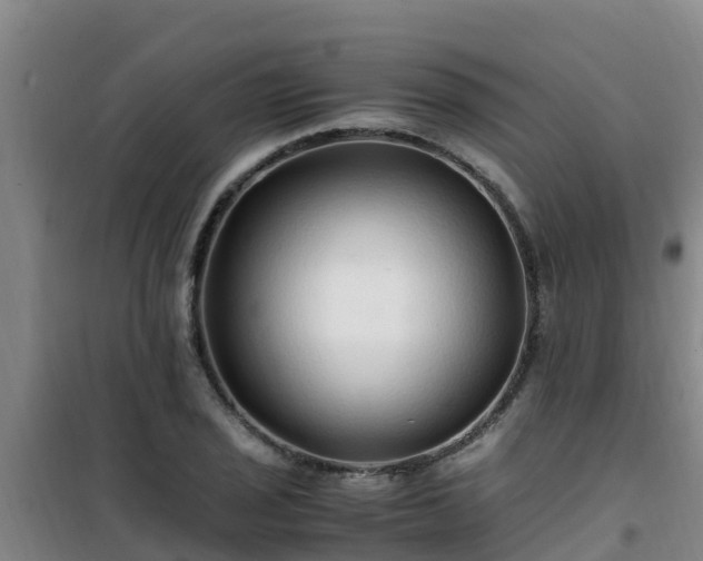 X0000101101029200807031745