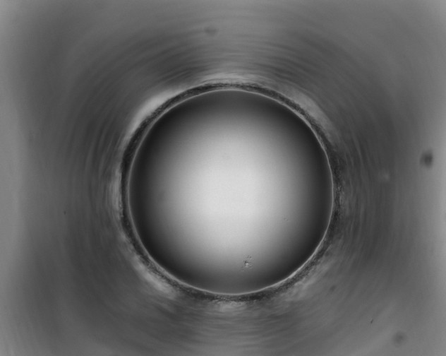 X0000101101030200807031745