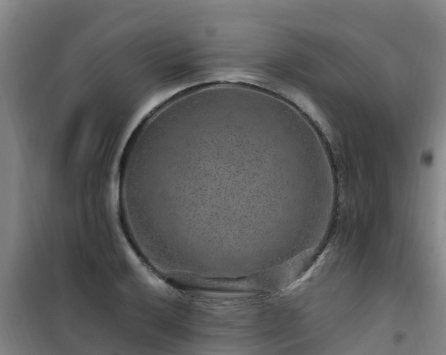 X0000101101032200807031745