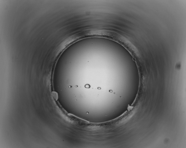 X0000101101033200807031745
