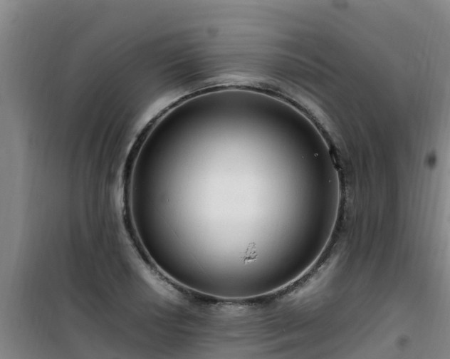 X0000101101034200807031745