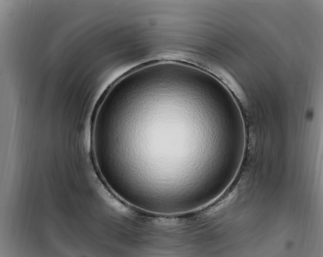 X0000101101036200807031745