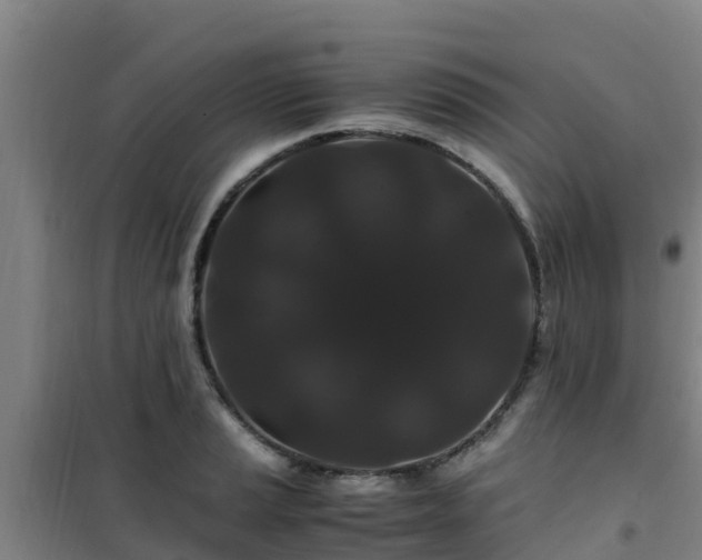 X0000101101037200807031745