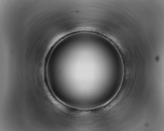 X0000101101038200807031745