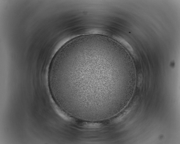 X0000101101039200807031745