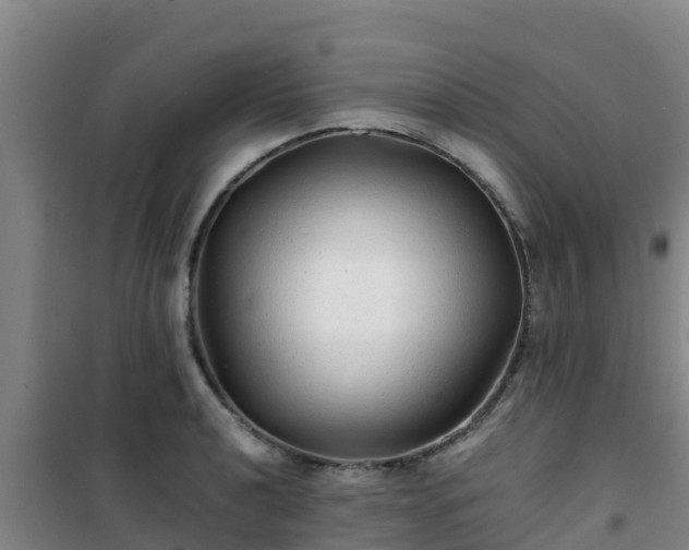 X0000101101040200807031745