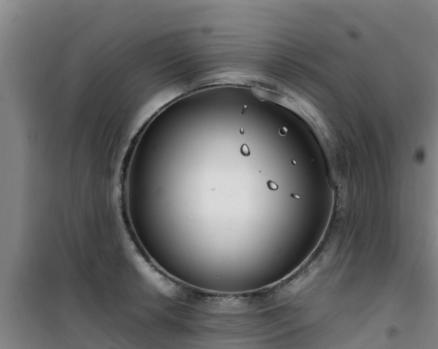 X0000101101042200807031745