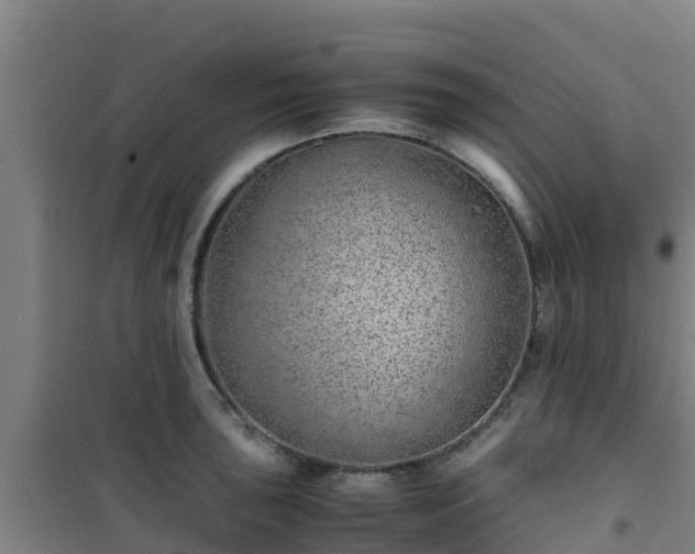 X0000101101043200807031745