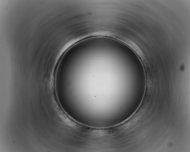 X0000101101044200807031745