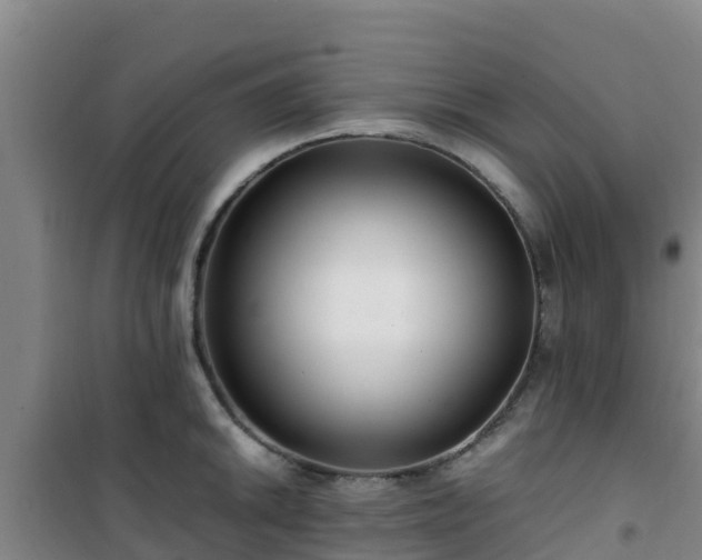 X0000101101046200807031745