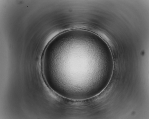 X0000101101047200807031745