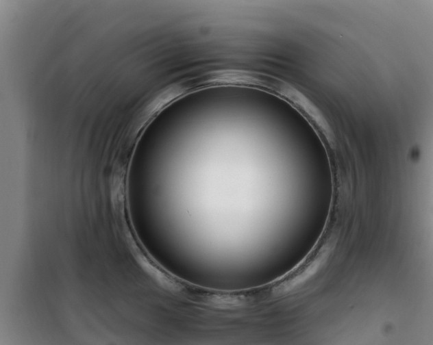X0000101101049200807031746
