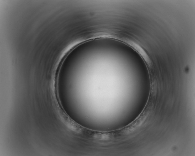 X0000101101051200807031746