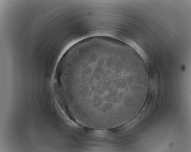 X0000101101052200807031746
