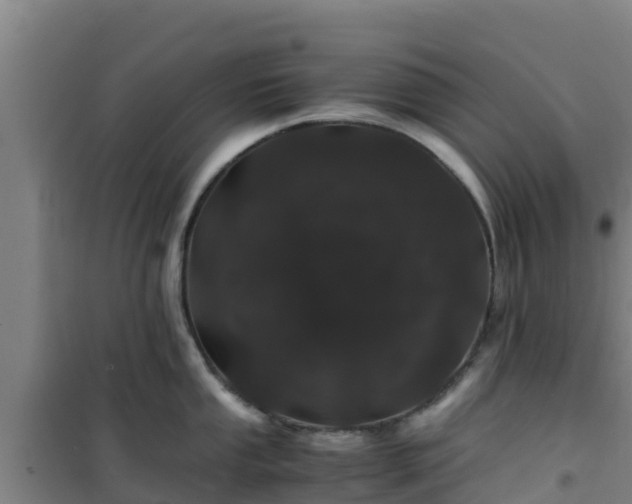 X0000101101053200807031746