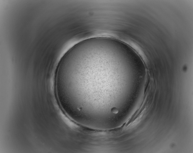 X0000101101054200807031746
