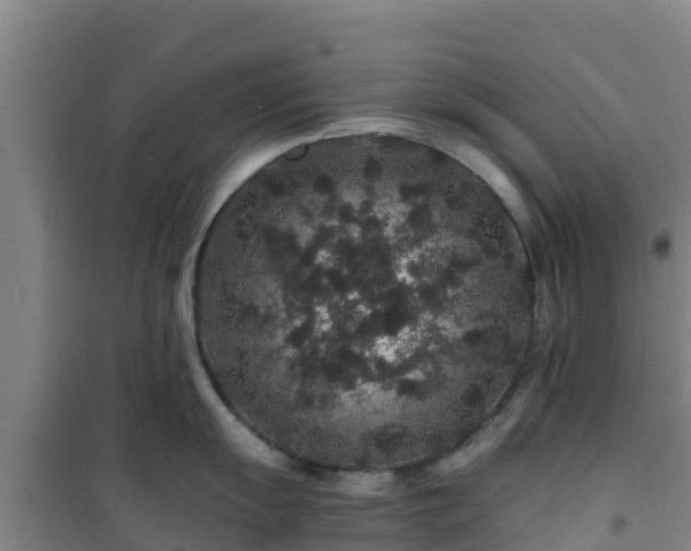 X0000101101055200807031746