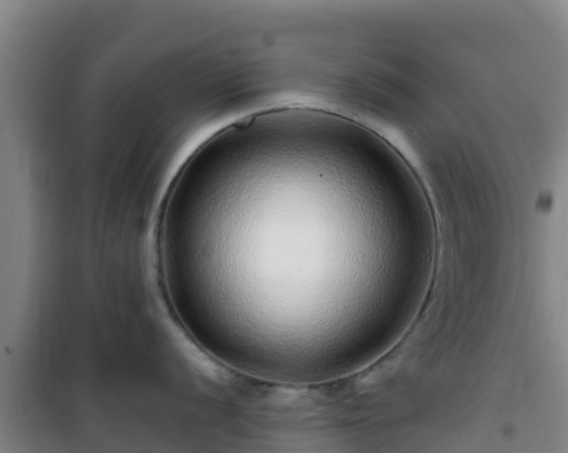 X0000101101056200807031746