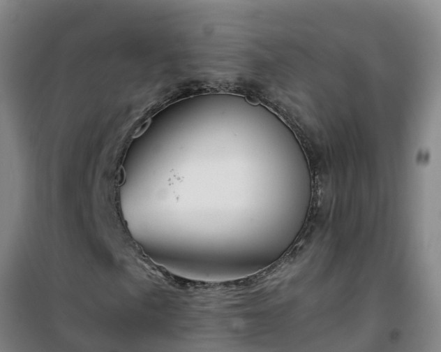 X0000101101057200807031745