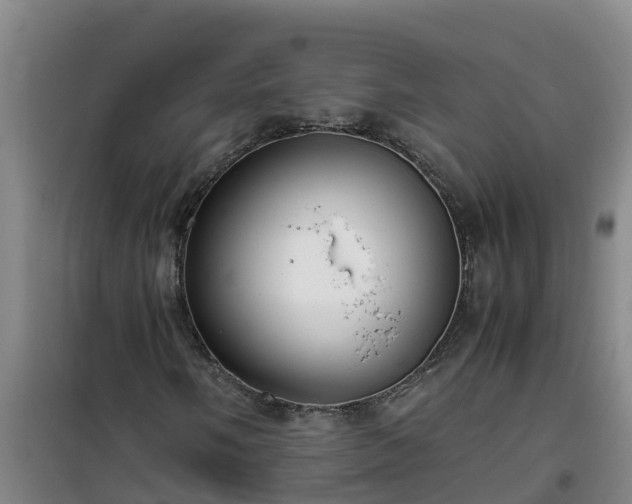 X0000101101058200807031745