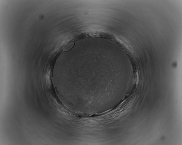 X0000101101060200807031745
