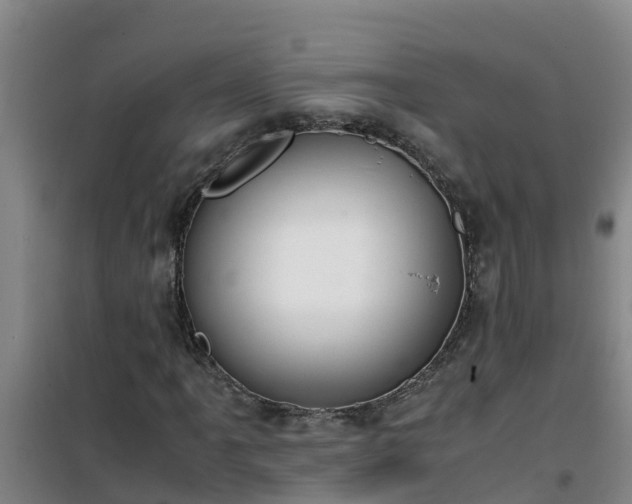 X0000101101061200807031745