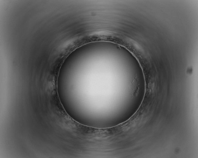 X0000101101062200807031745