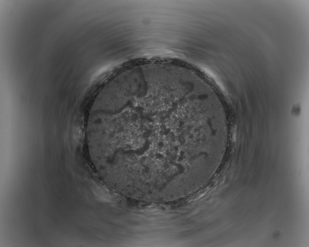 X0000101101063200807031745