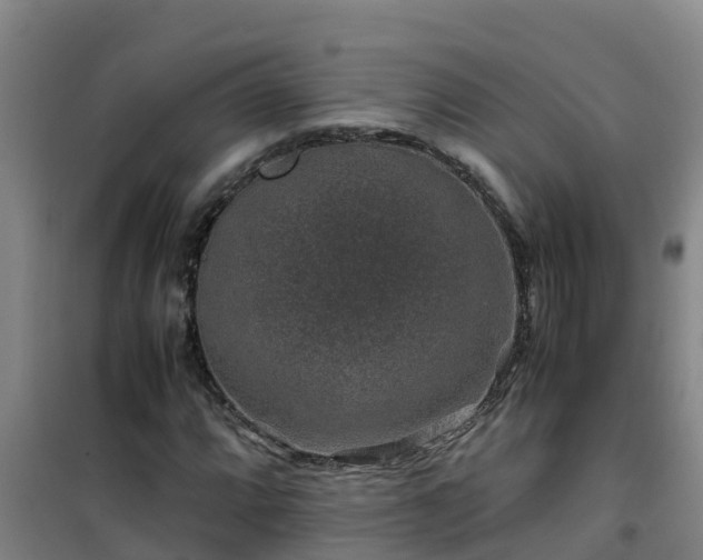 X0000101101064200807031745