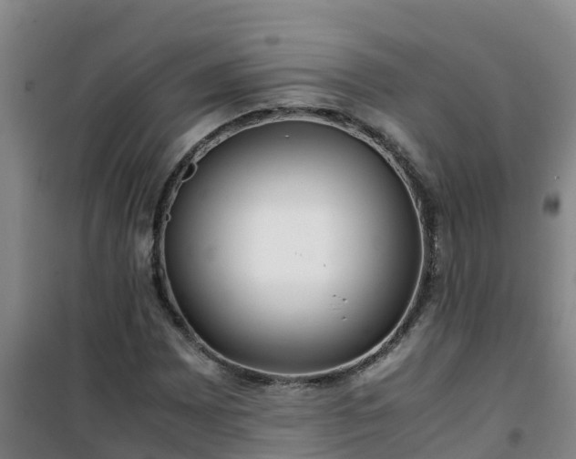 X0000101101065200807031745