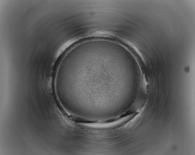 X0000101101066200807031745