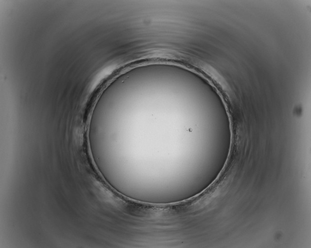 X0000101101067200807031745
